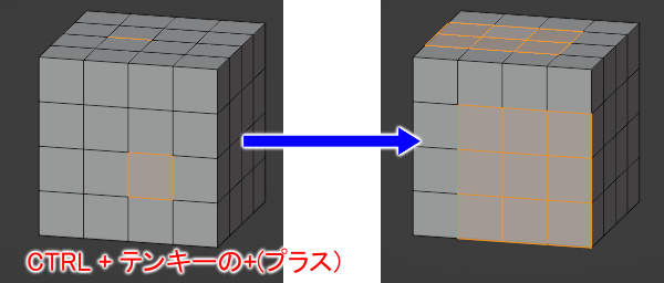 選択範囲の拡大 様々な選択機能 モデリング 知っておきたい機能 Blender入門 2 8版